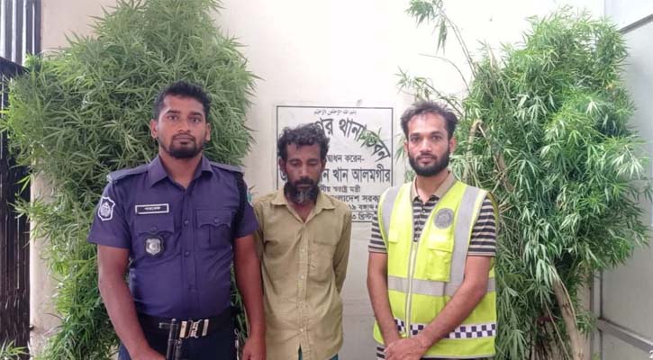 মুজিবনগরে তিনটি গাঁজা গাছসহ একজন আটক